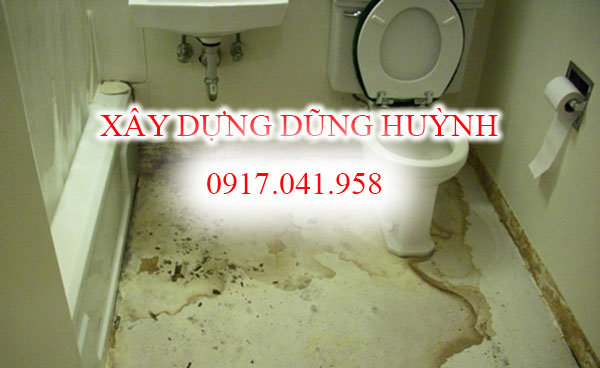 toilet thấm dột