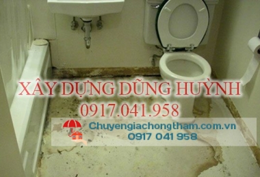 CHỐNG THẤM TOILEL